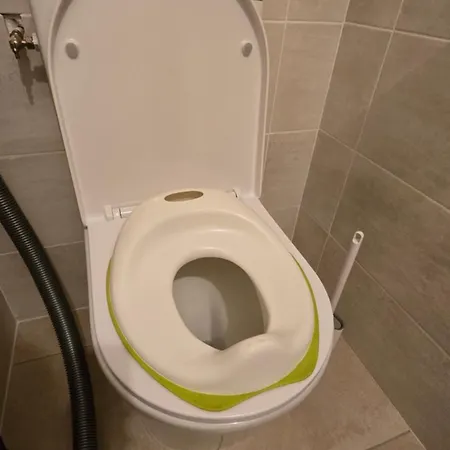 De Celine Проживание в семье *